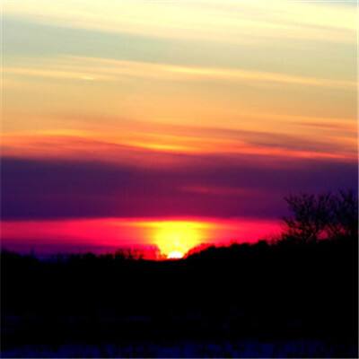 足球赌注软件下载手机版